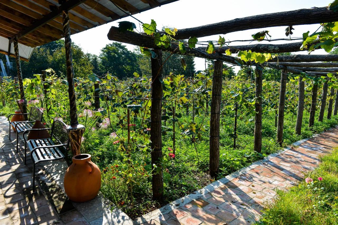 Chateau Chikovani Hotel Gordi Exterior photo